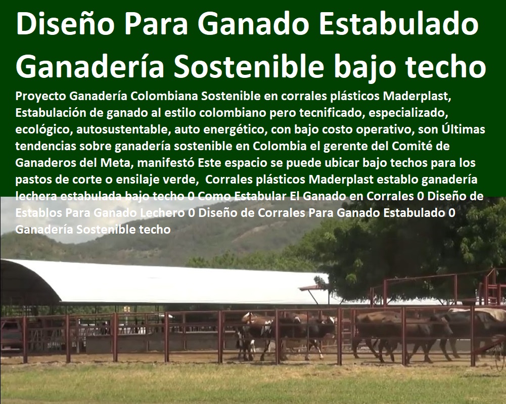 Corrales plásticos Maderplast establo ganadería lechera estabulada bajo techo 0 Como Estabular El Ganado en Corrales 0 Diseño de Establos Para Ganado Lechero 0 Diseño de Corrales Para Ganado Estabulado 0 Ganaderías Tecnificadas, Explotación Ganadera Automatizada, Sistemas de Pastoreo, Estabulación de Ganado, Pastoreo Intensivo, Establos, Corrales, Saladeros, Comederos, Cerramientos, Postes, Ganadería Sostenible techo Corrales plásticos Maderplast establo ganadería lechera estabulada bajo techo 0 Como Estabular El Ganado en Corrales 0 Diseño de Establos Para Ganado Lechero 0 Diseño de Corrales Para Ganado Estabulado 0 Ganadería Sostenible techo